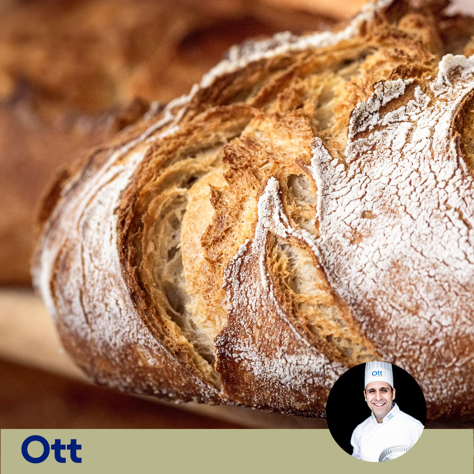 Panes con Masa Madre